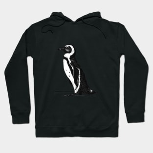 African Penguin Hoodie